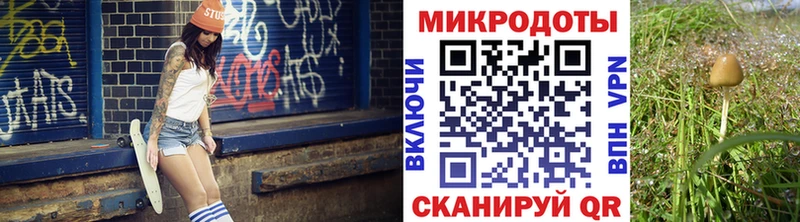 гидра маркетплейс  хочу наркоту  мориарти как зайти  Псилоцибиновые грибы мухоморы  Макаров 