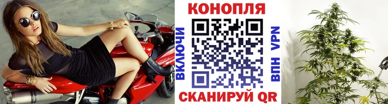 Бошки марихуана план Макаров